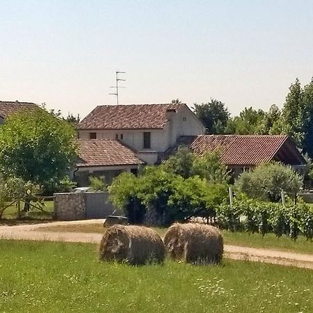 Il Giuggiolo Bed and Breakfast Κονελιάνο Εξωτερικό φωτογραφία