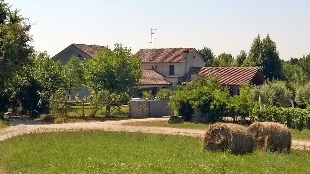 Il Giuggiolo Bed and Breakfast Κονελιάνο Εξωτερικό φωτογραφία