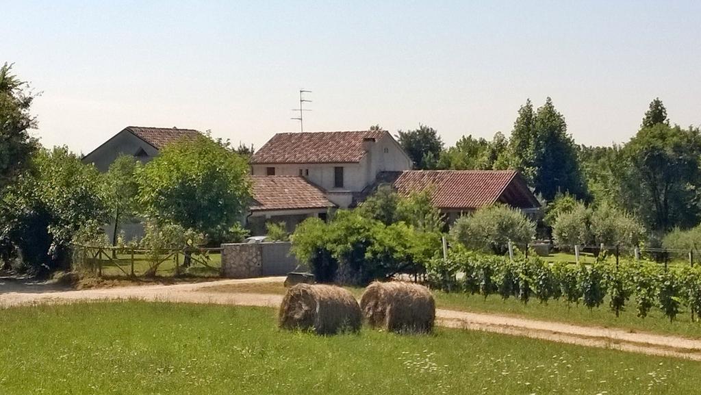 Il Giuggiolo Bed and Breakfast Κονελιάνο Εξωτερικό φωτογραφία