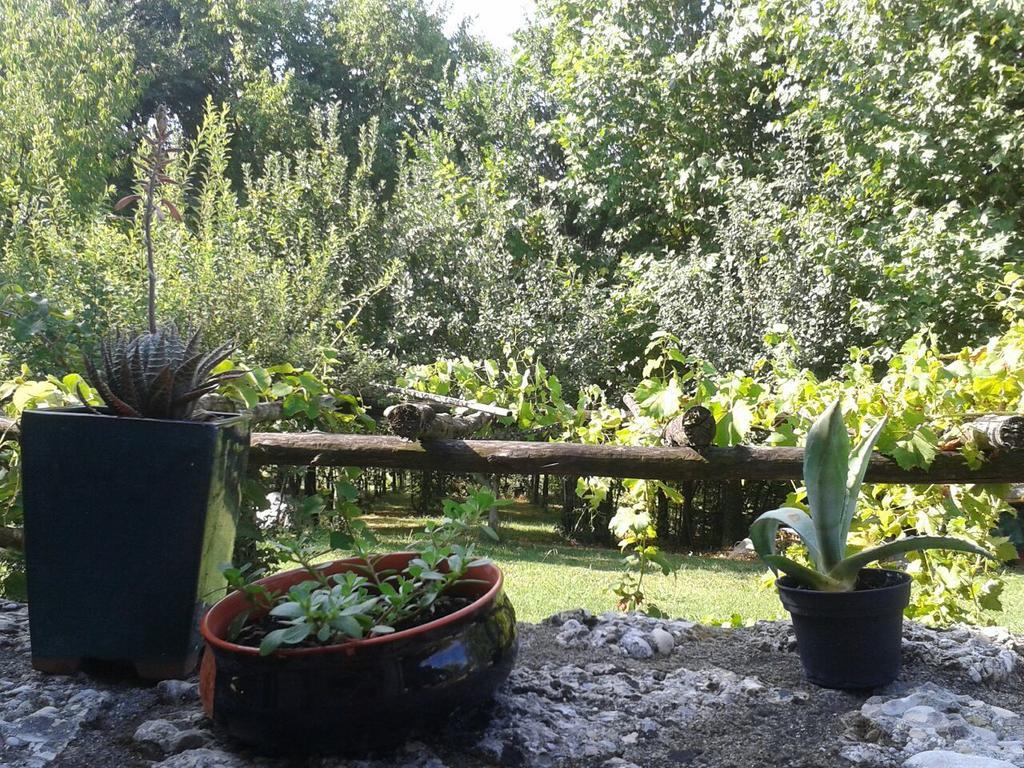 Il Giuggiolo Bed and Breakfast Κονελιάνο Εξωτερικό φωτογραφία