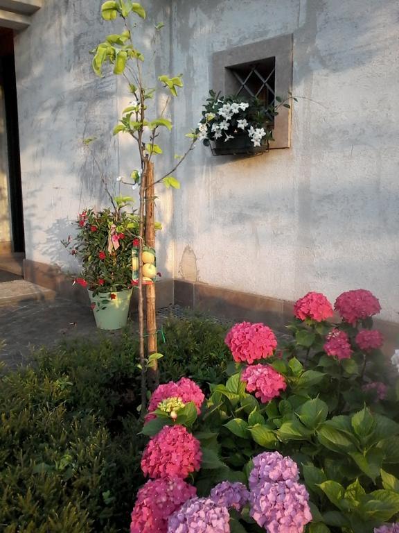 Il Giuggiolo Bed and Breakfast Κονελιάνο Εξωτερικό φωτογραφία