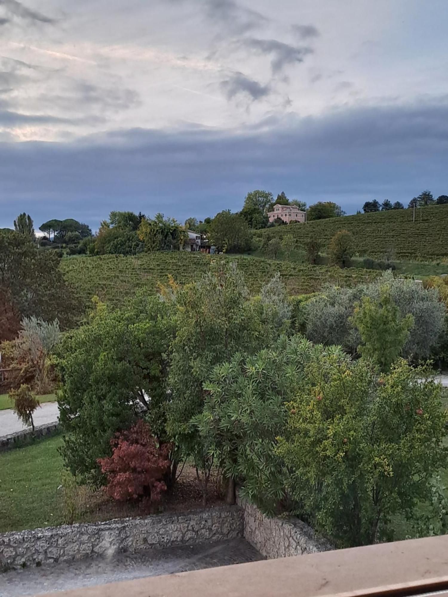 Il Giuggiolo Bed and Breakfast Κονελιάνο Εξωτερικό φωτογραφία