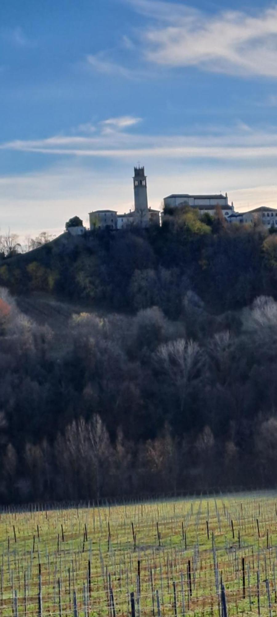 Il Giuggiolo Bed and Breakfast Κονελιάνο Εξωτερικό φωτογραφία