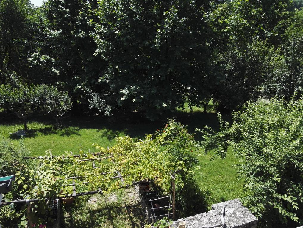 Il Giuggiolo Bed and Breakfast Κονελιάνο Εξωτερικό φωτογραφία