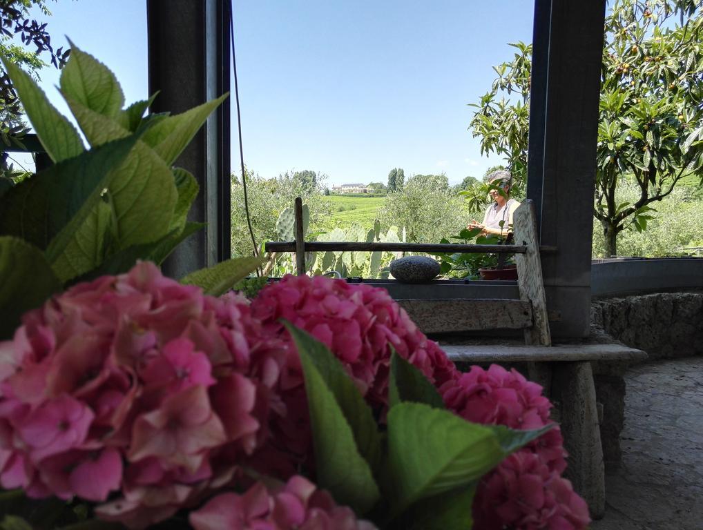 Il Giuggiolo Bed and Breakfast Κονελιάνο Εξωτερικό φωτογραφία