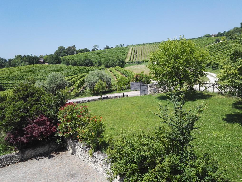 Il Giuggiolo Bed and Breakfast Κονελιάνο Εξωτερικό φωτογραφία