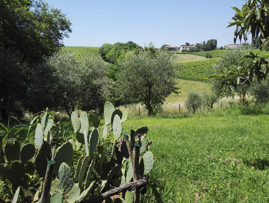 Il Giuggiolo Bed and Breakfast Κονελιάνο Εξωτερικό φωτογραφία